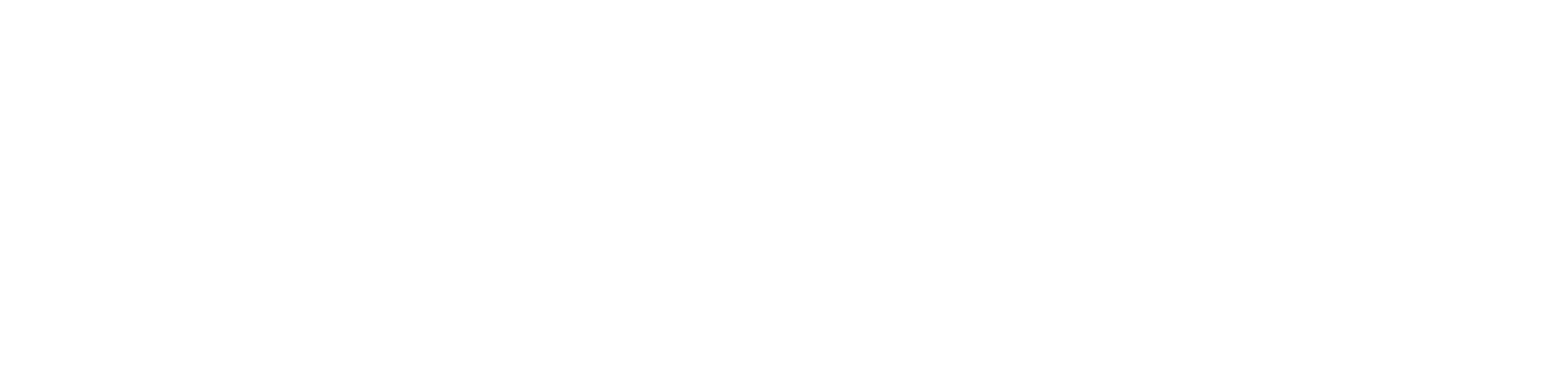 logo light